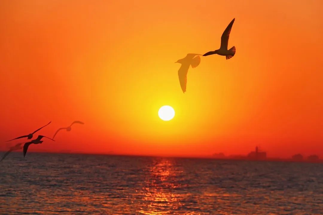 放假了,到秦皇岛看「橘子海」!日出时间表