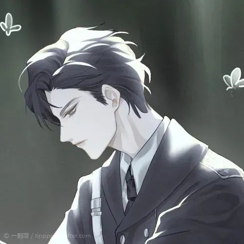 小蘑菇头像 壁纸|等极光再亮的时候,上校就回来了