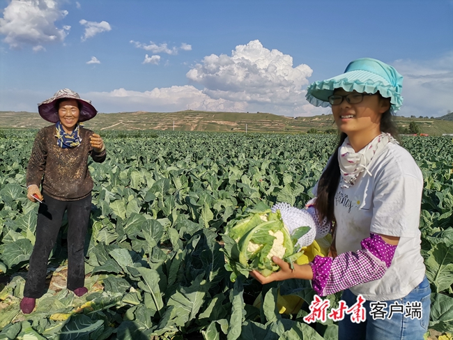 甘肃蔬菜批发市场在哪里 - 2020年最新商品信息聚合专区 - 百度爱采购