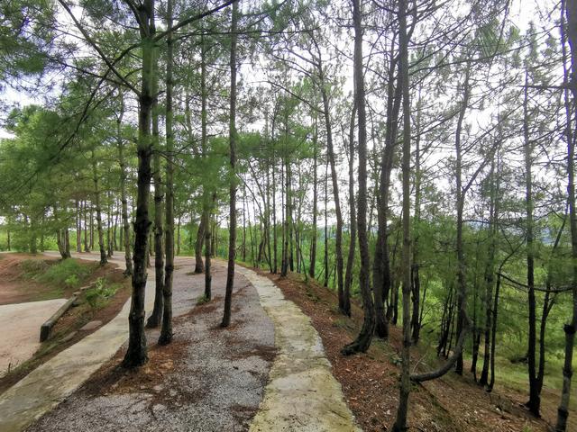 宣威小庙山:野趣十足