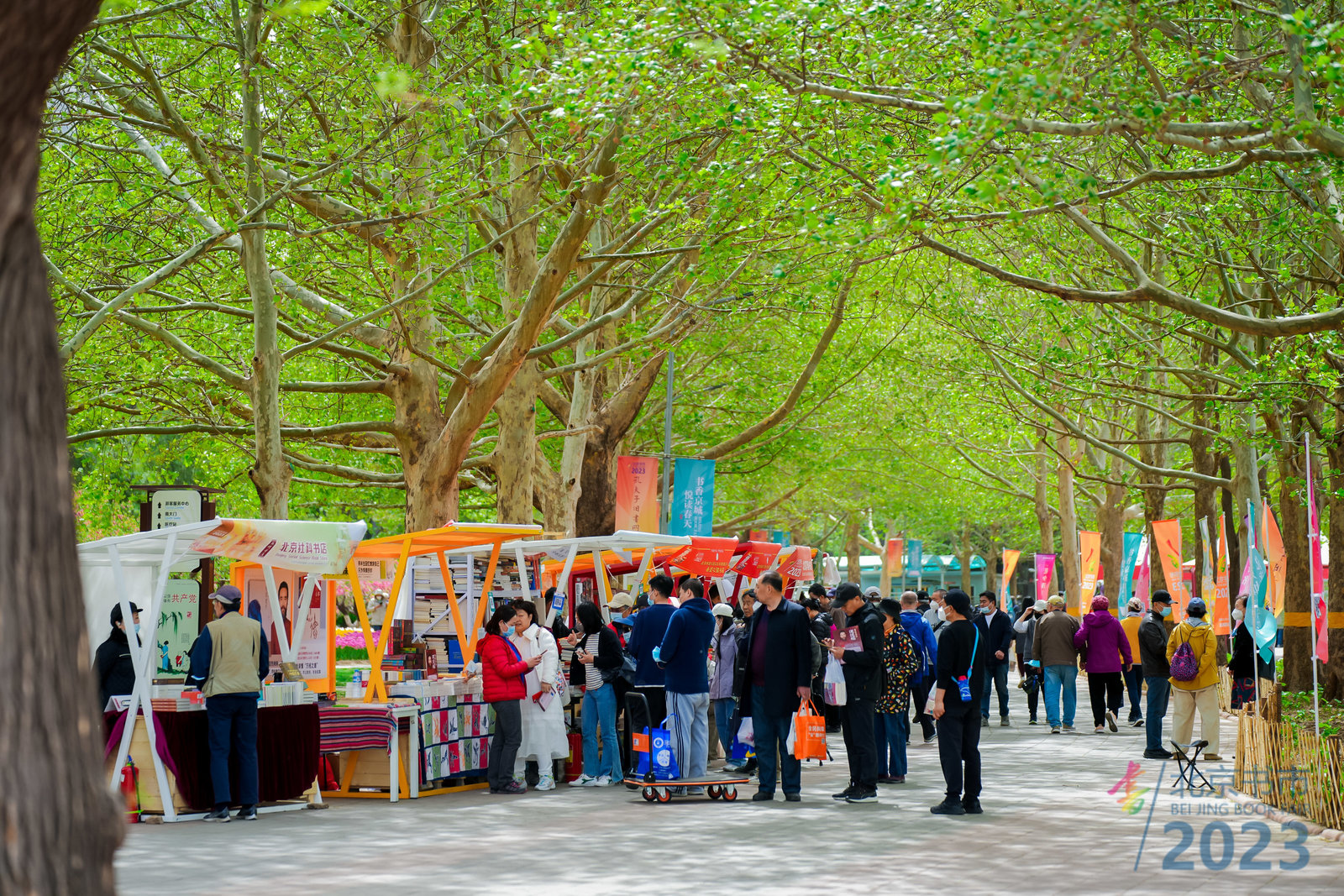 2023北京书市在朝阳公园启幕,有哪些亮点备受爱书人期待?