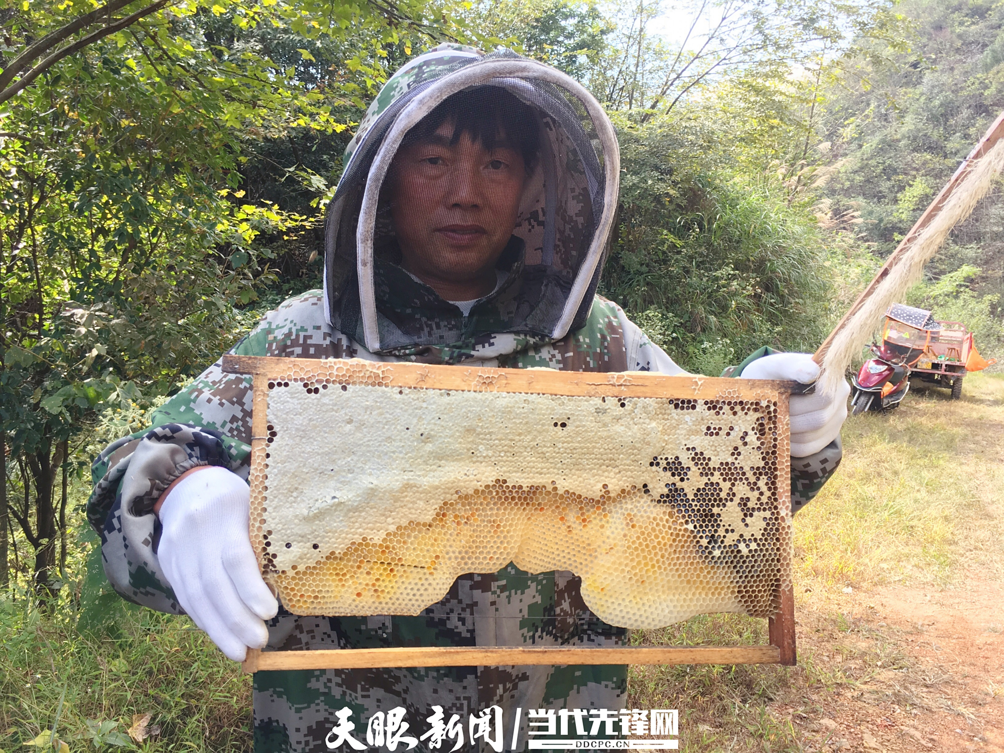 观看致富路上的带头人心得体会(2020年致富带头人培训心得体会)