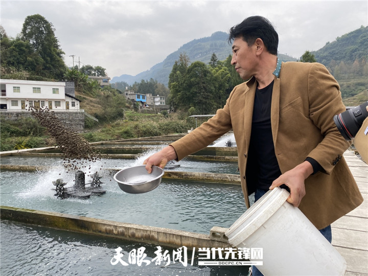 「四新四化蹲点采访」沿河洪渡镇:黔鱼出海 非同"鲟"常