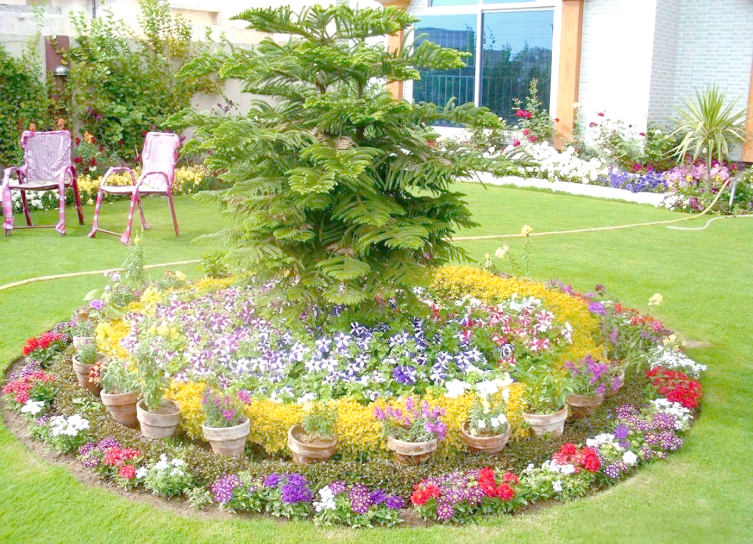 探索多样的花坛创意设计