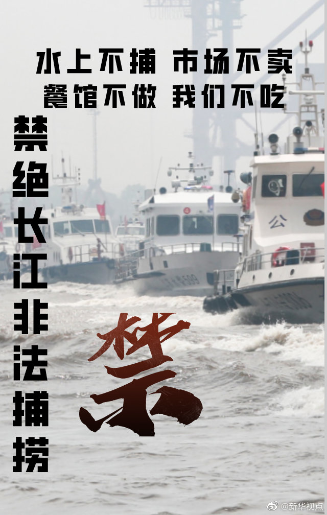 为了母亲河,我带头!未来十年,水上不捕,市场不卖,餐馆不做,我们不吃!