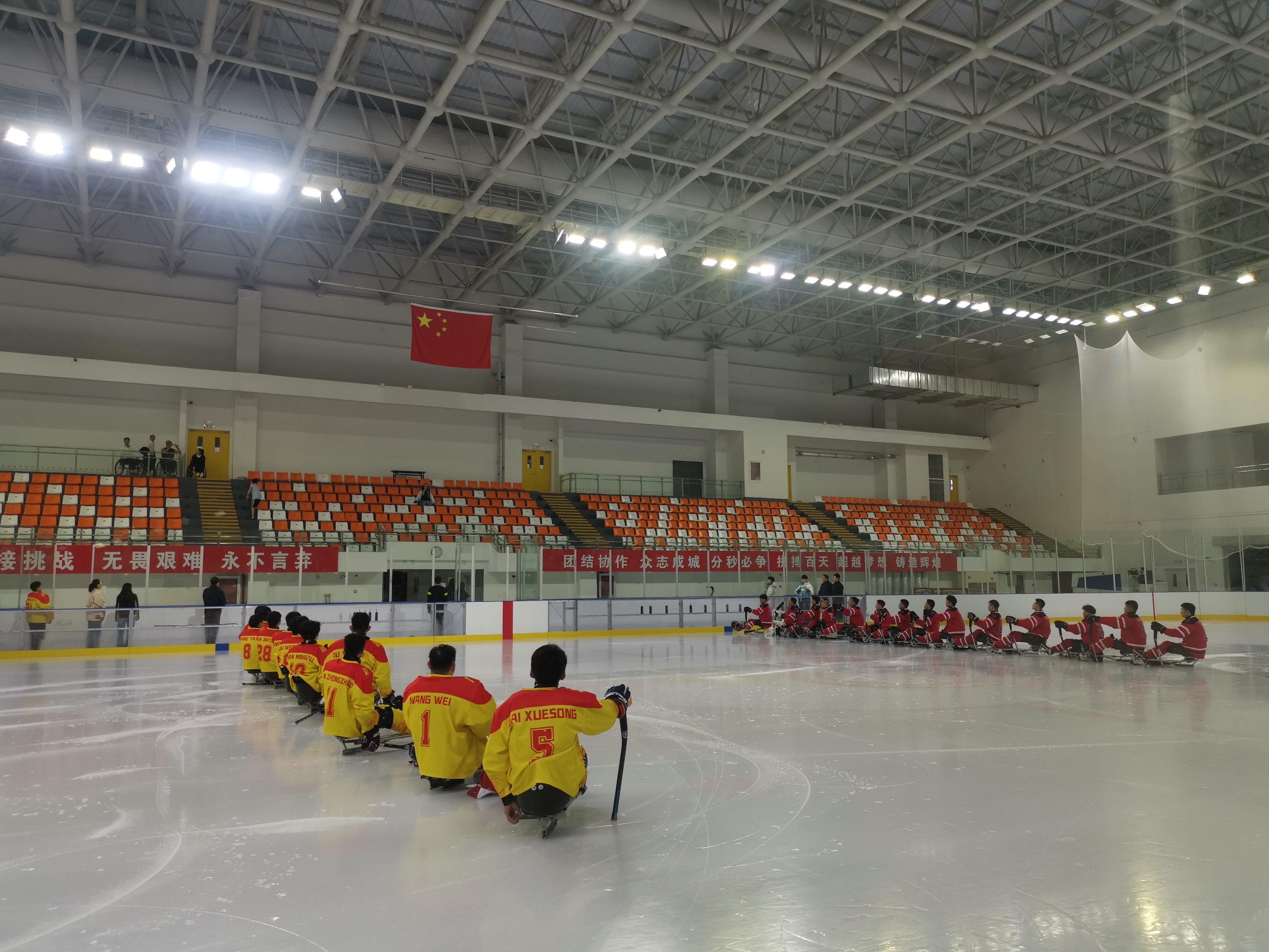 山东队夺得全国残奥冰球锦标赛冠军