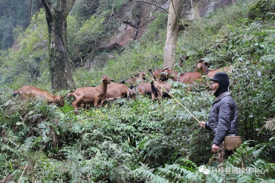 「新春走基层」脱贫户郭显军的幸福生活