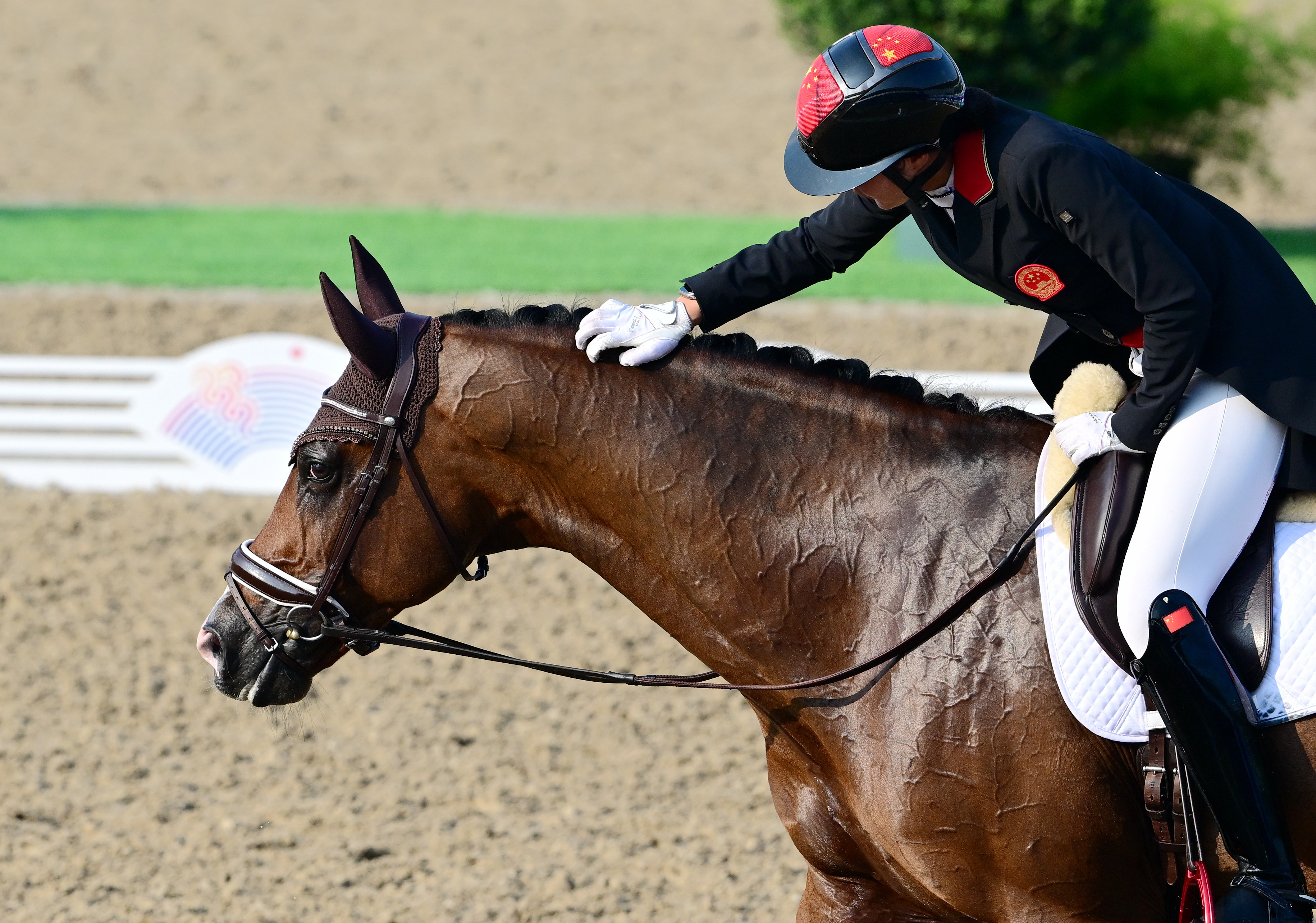 马术——盛装舞步个人赛赛况(3)