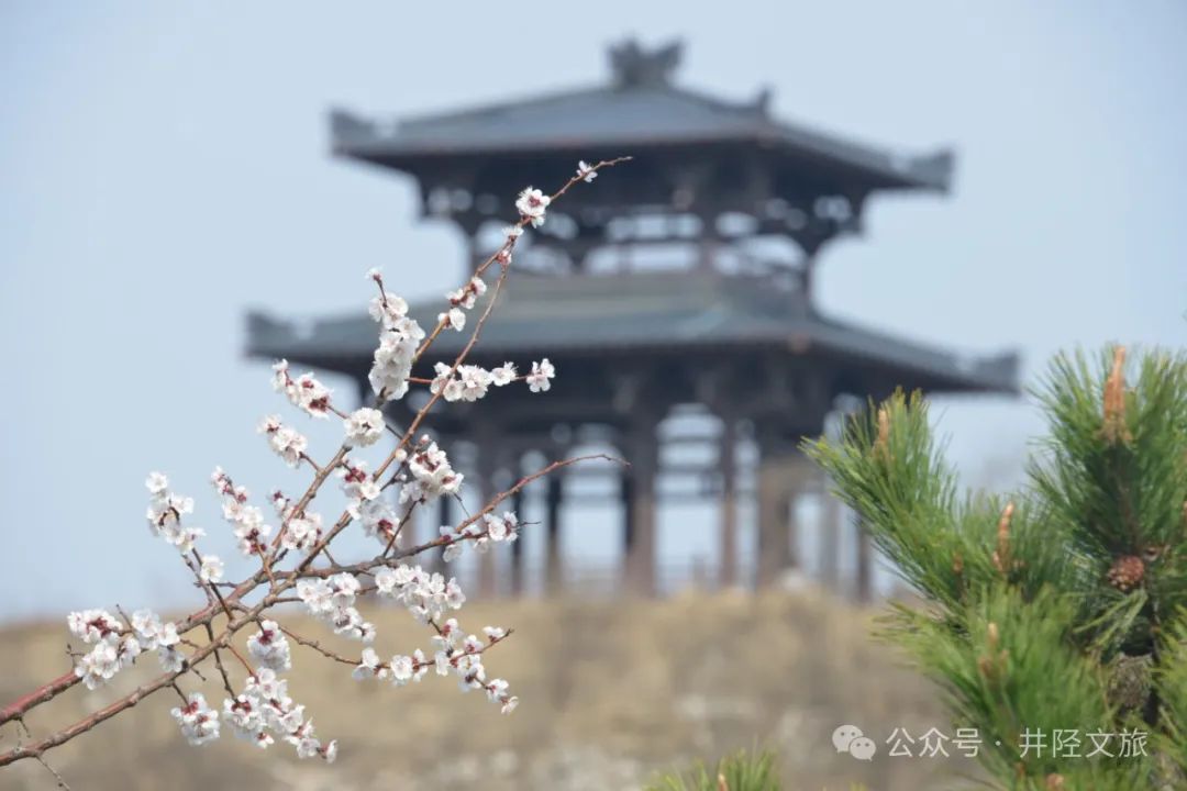 春天里的井陉龙王山公园