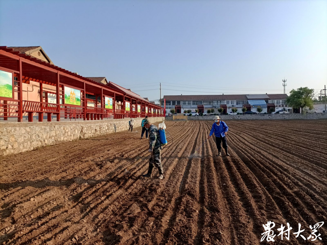 龙泉镇 "一张网"汇聚基层治理力量