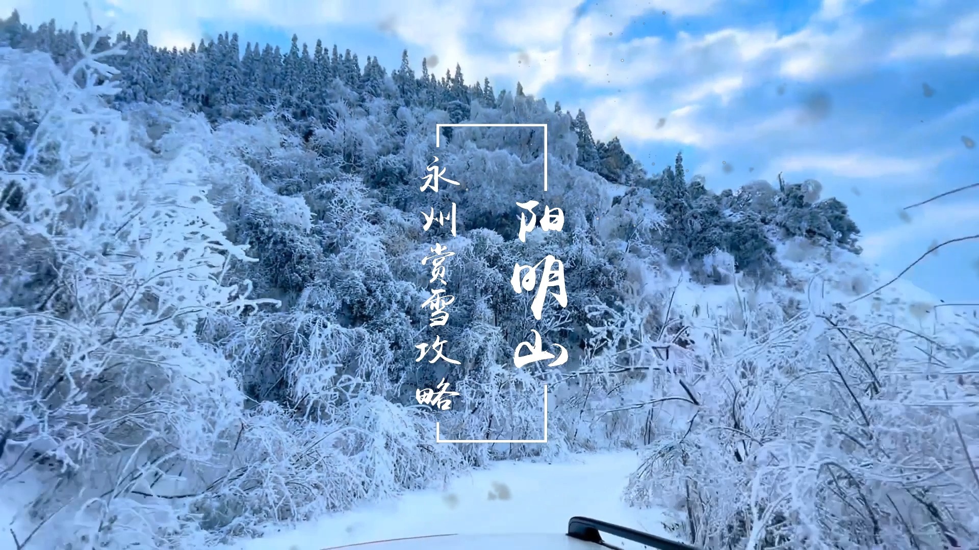 永州赏雪攻略阳明山