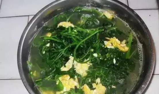 野生百花菜的作用