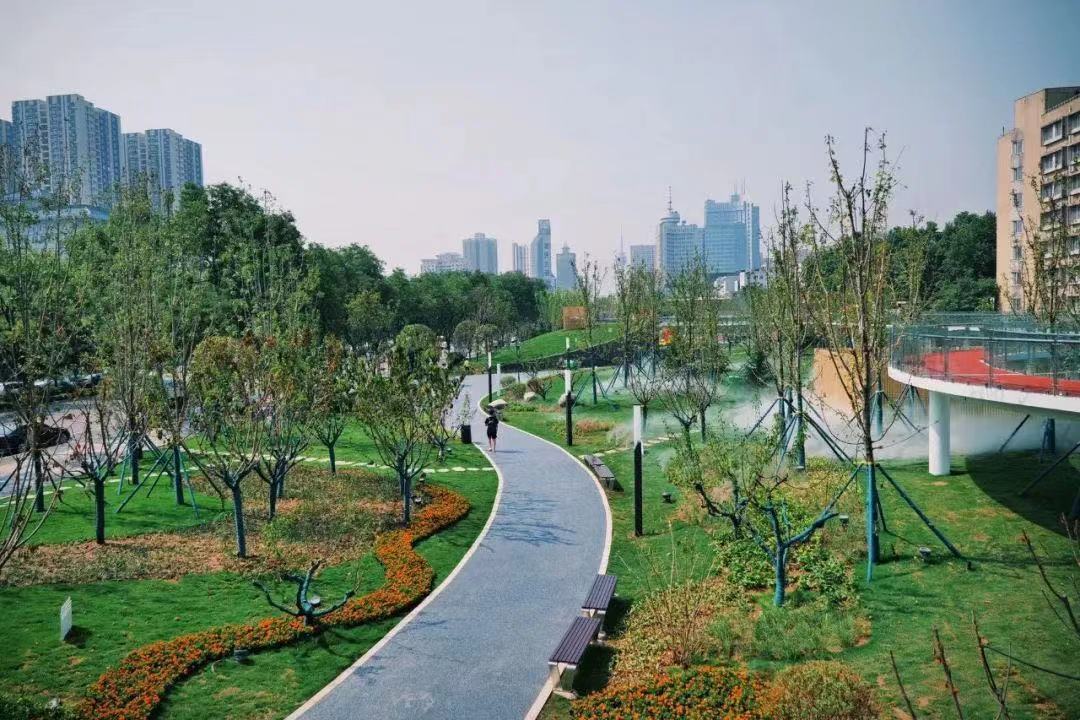 建设美好雁塔小寨公园获评西安市最美公园称号