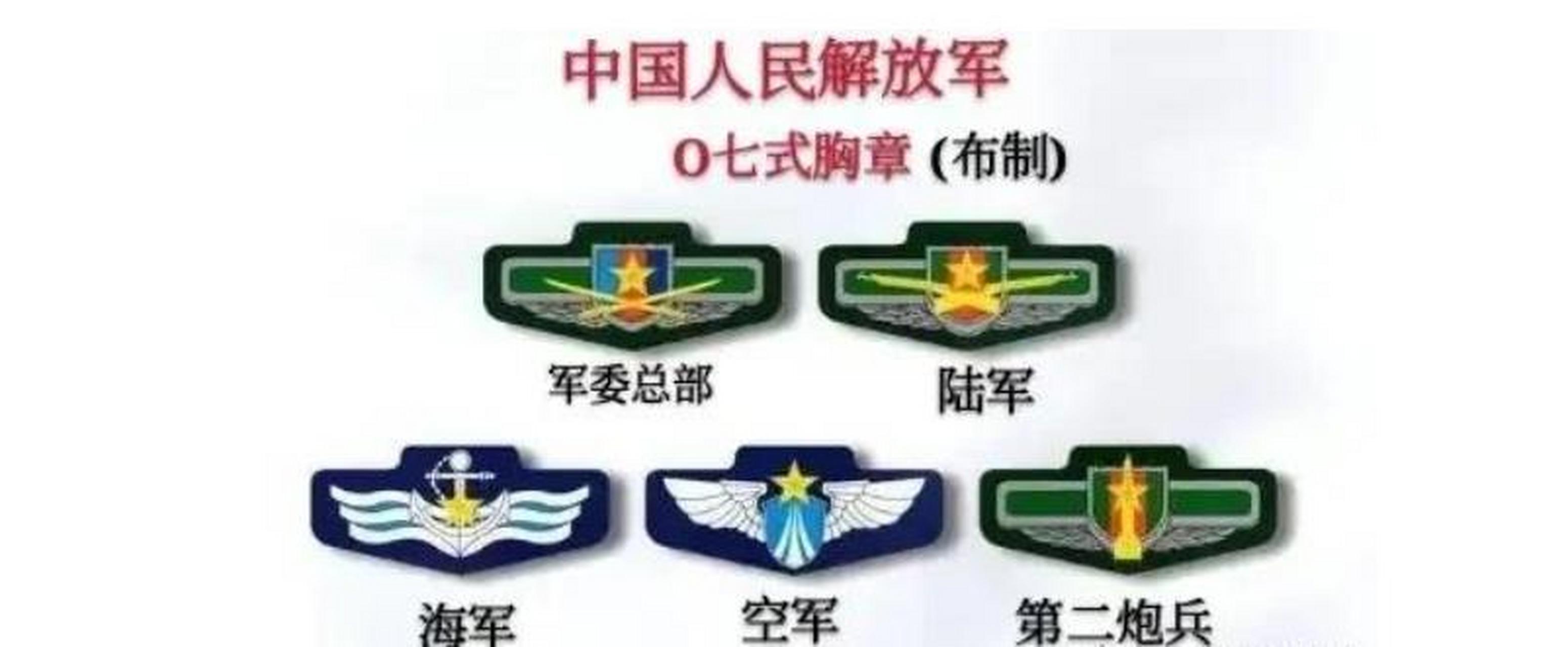 这是07式软胸标,作为曾经的见证者,也是我军士兵军服上的第一代制式胸