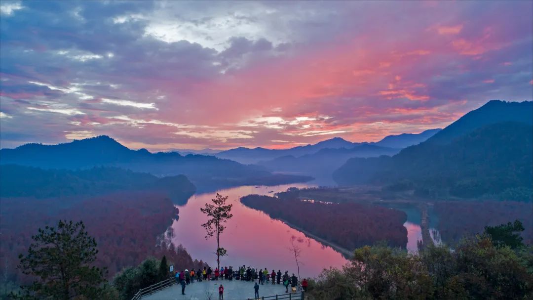 宁国红杉林已进入颜值巅峰,周末必须安排!