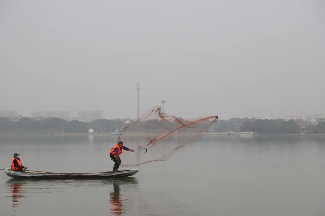 场面震撼!南陵奎湖"起鱼"啦