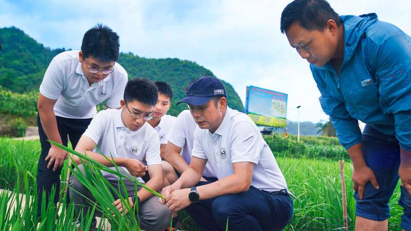 這群研究生在田間地頭