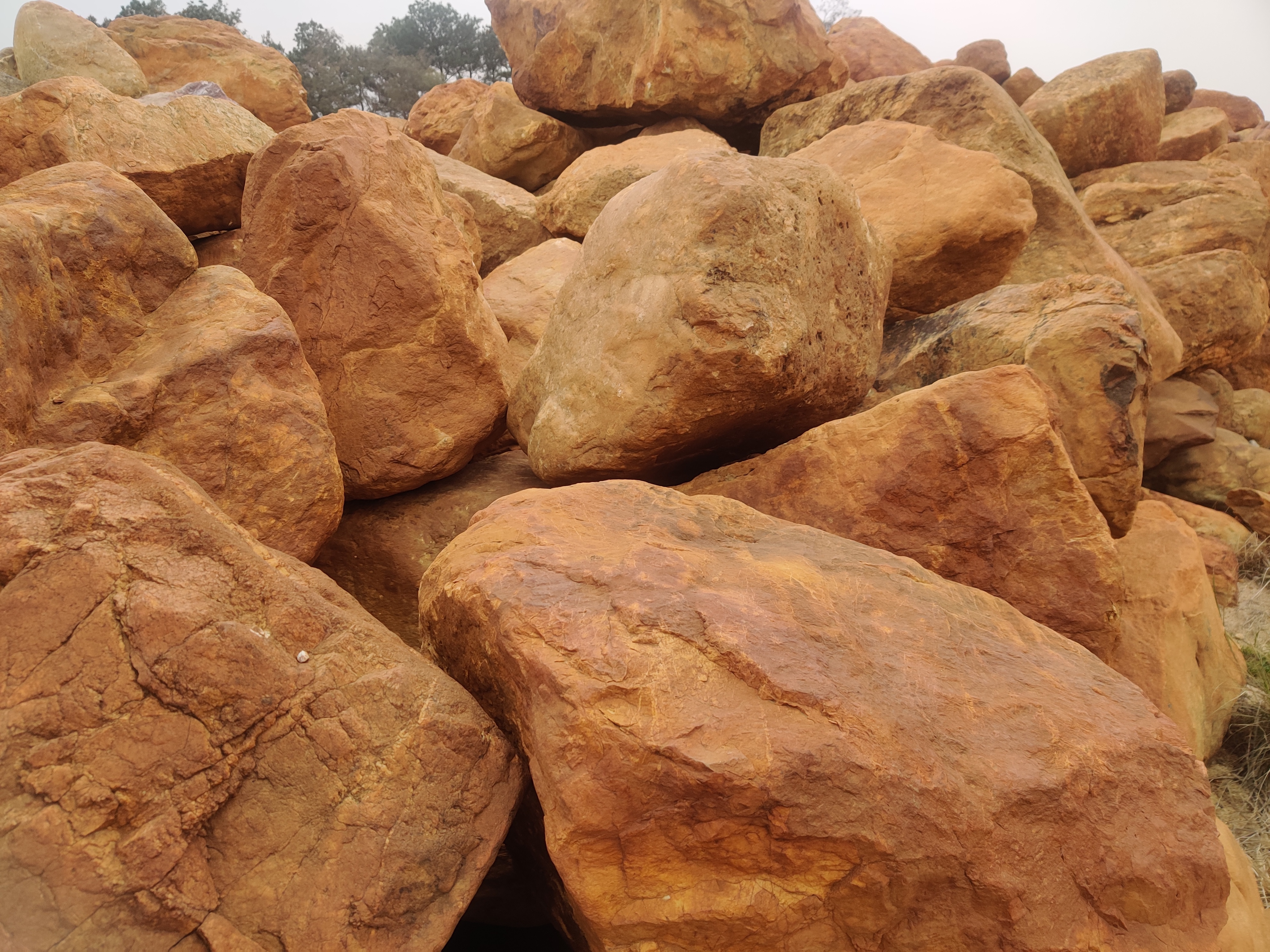 吨位黄蜡石批发 摆放观赏景石 风景园林黄蜡石