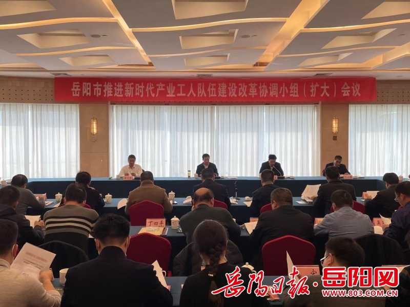 岳阳市推进新时代产业工人队伍建设改革协调小组(扩大)会议召开