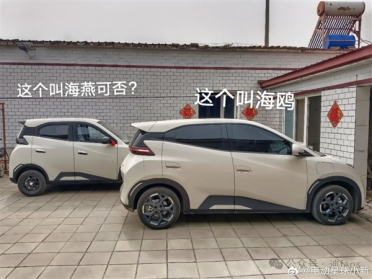 路上惊现比亚迪海鸥高仿老头乐：车标“BYC” 外观、内饰几乎一模一样