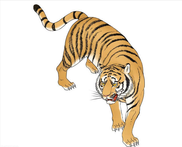 「揭秘」属虎的你,爱情观和财富密码大公开!