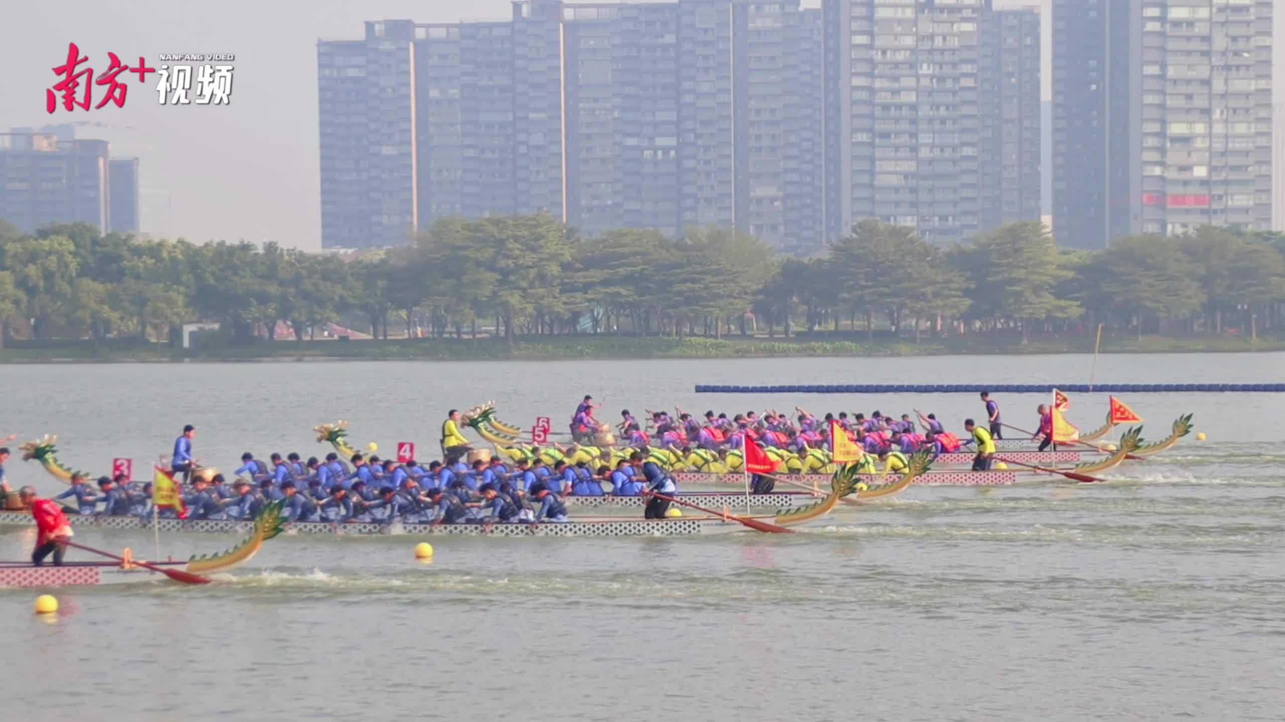 视频|高手云集顺德桂畔湖!直击中华龙舟大奖赛首日赛事