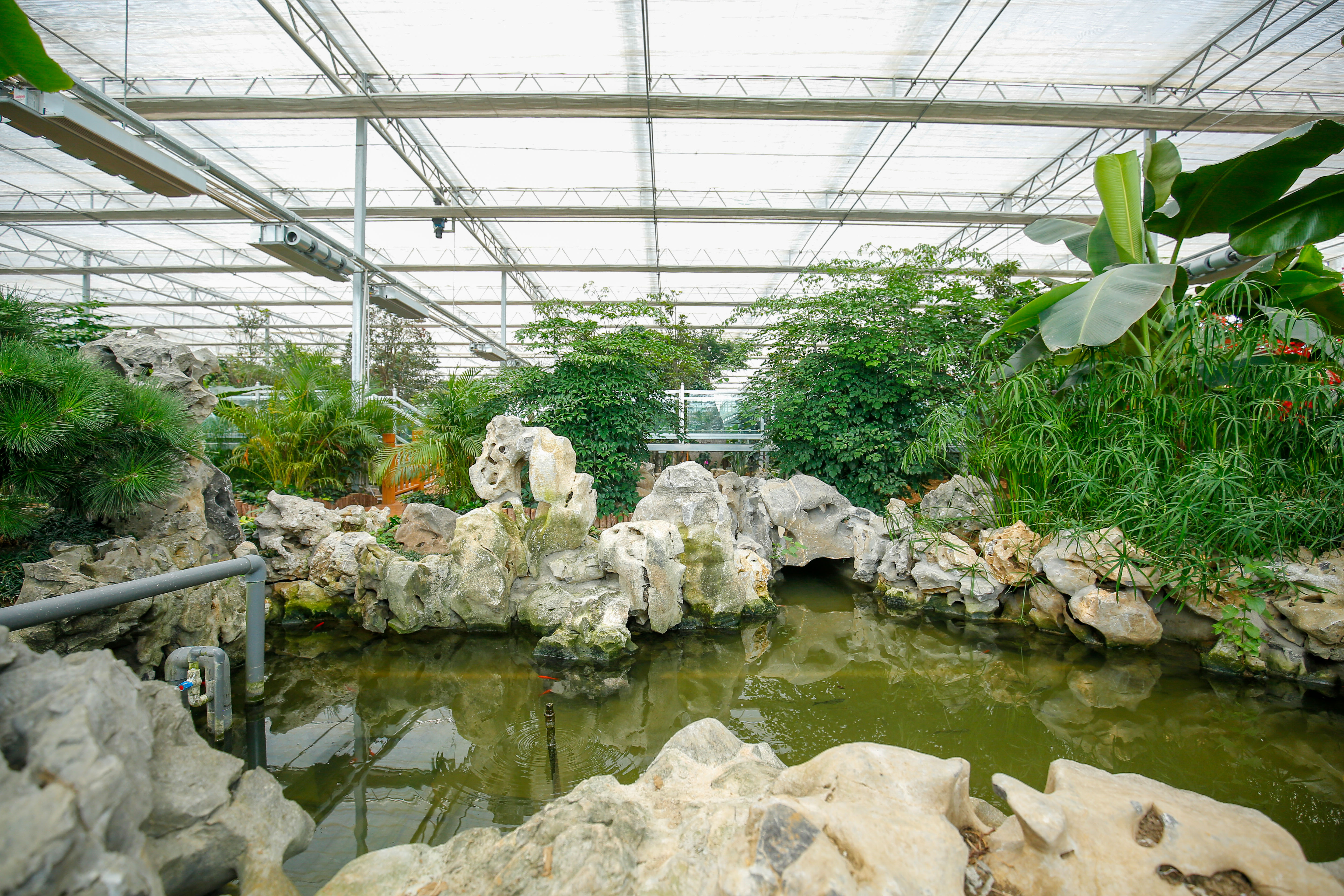 生态景观智能温室玻璃大棚