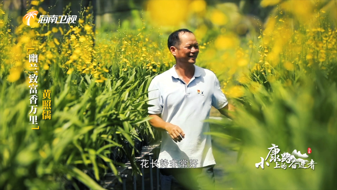 小康路上的奋进者|幽兰致富香万里 黄照儒