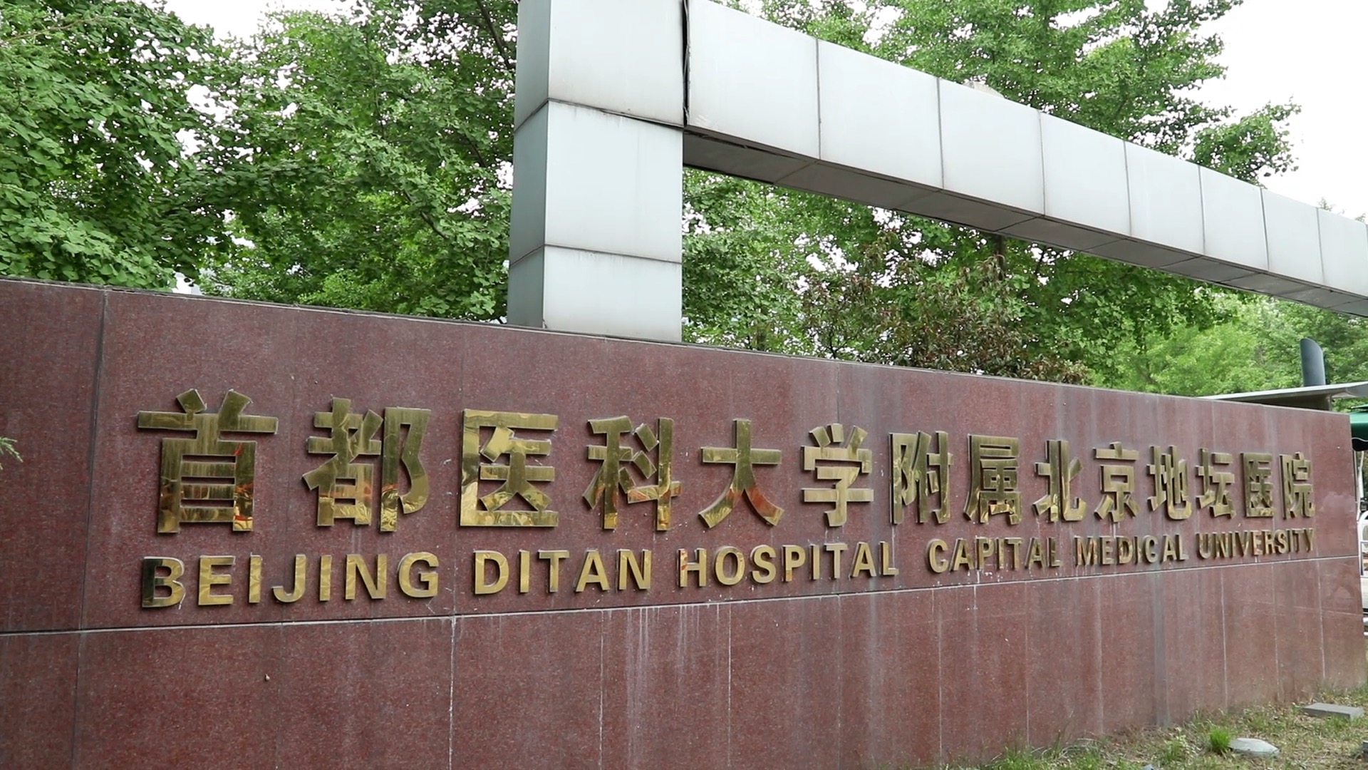 關于北京地壇醫院、北京跑腿代辦服務	順義區代掛專家號，減少患者等待就醫的時間的信息