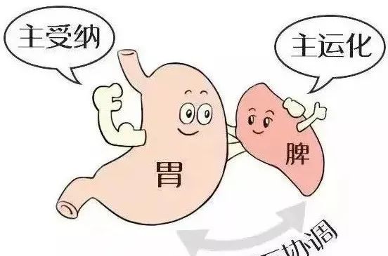 6个症状代表你已脾虚,艾灸5穴最养脾!