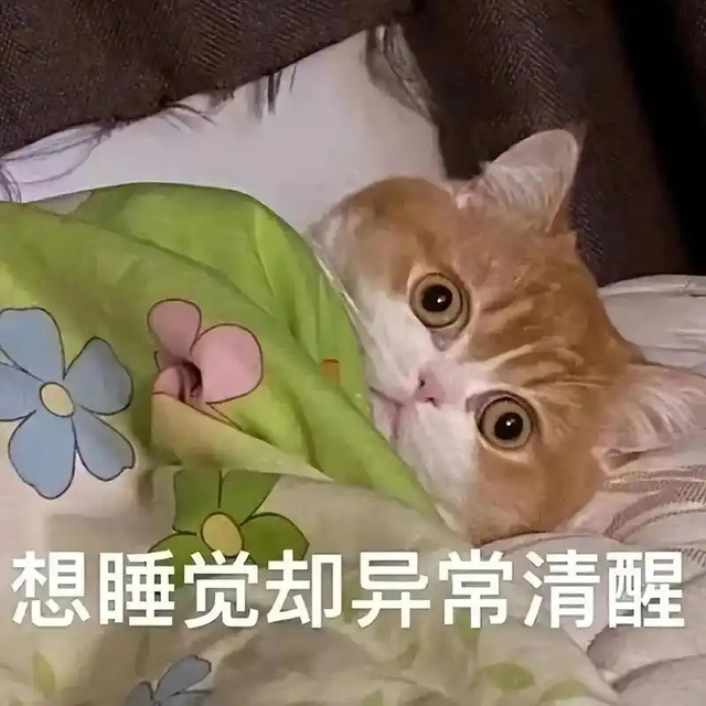 今晚起，东台人请早睡一小时！