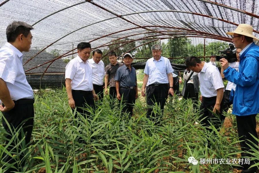 滕州李广宪图片