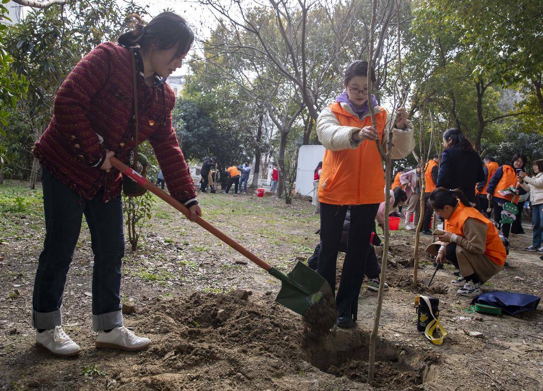 组图|江苏泰州:植绿护绿 美化家园