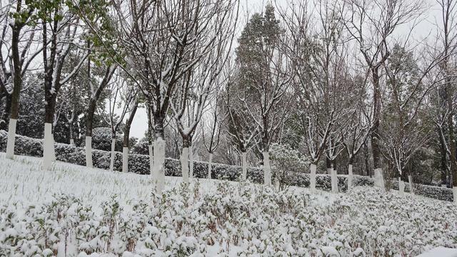 雪后富源