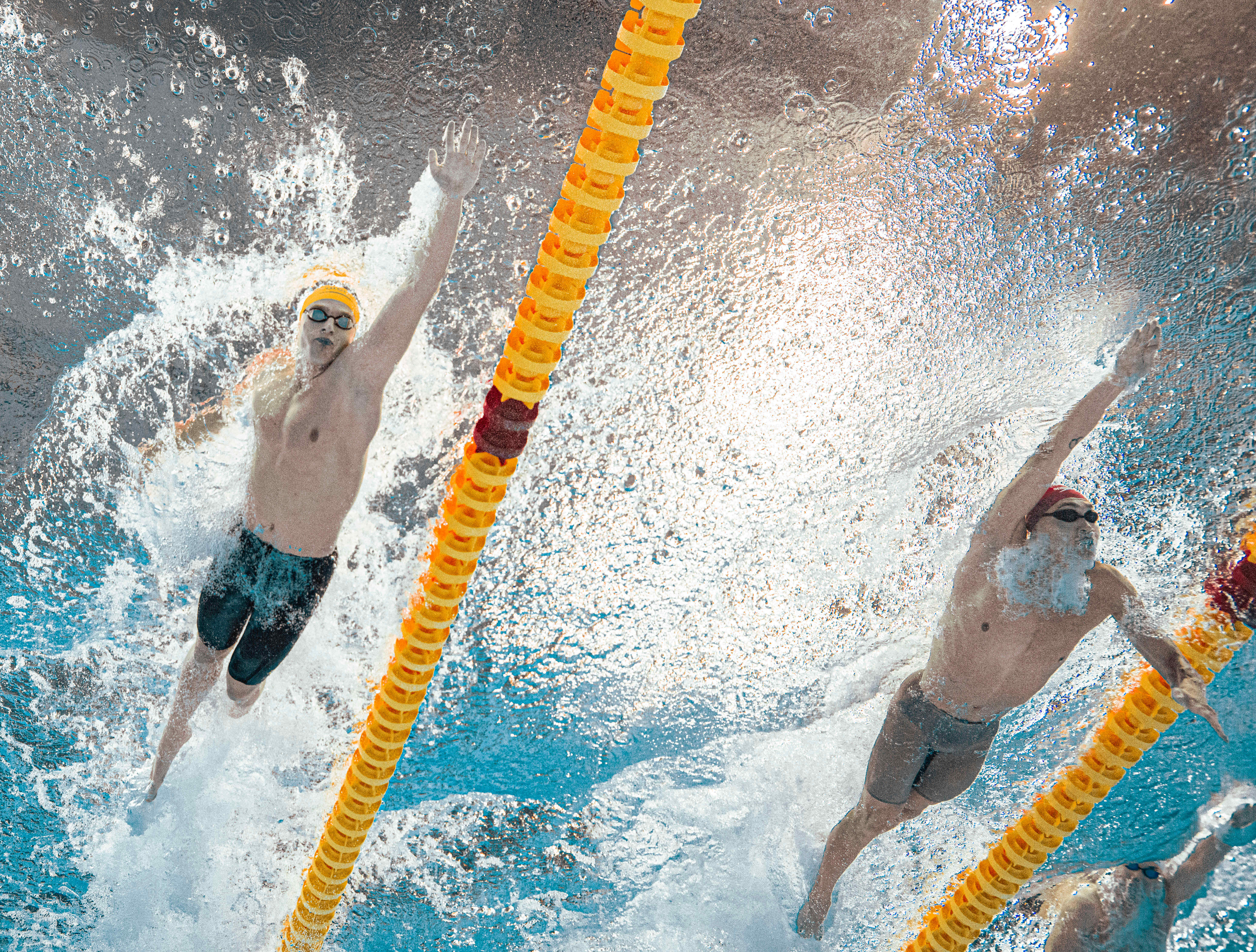 (游泳世锦赛)游泳