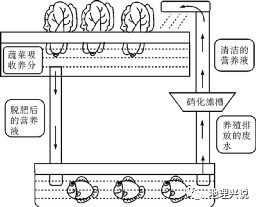 稻鱼共生系统设计图图片