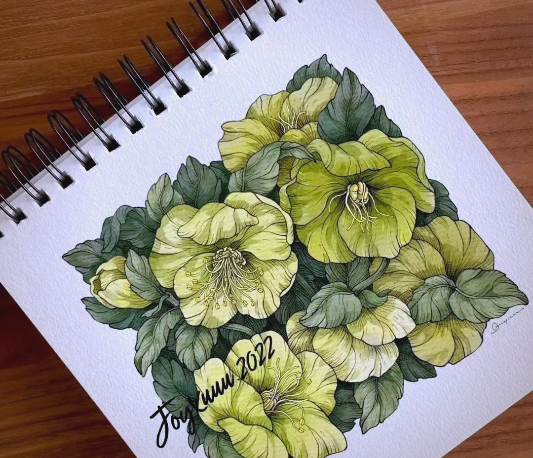 精美绝伦的水彩线描装饰画,色彩清新,线条流畅,令人大开眼界!