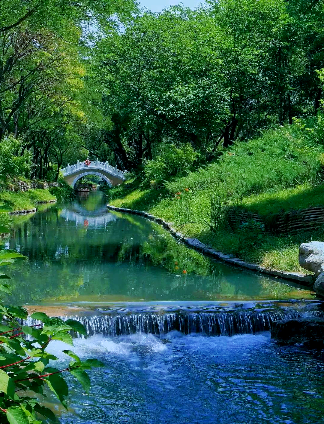 金河:从历史河道到现代休闲胜地的蜕变