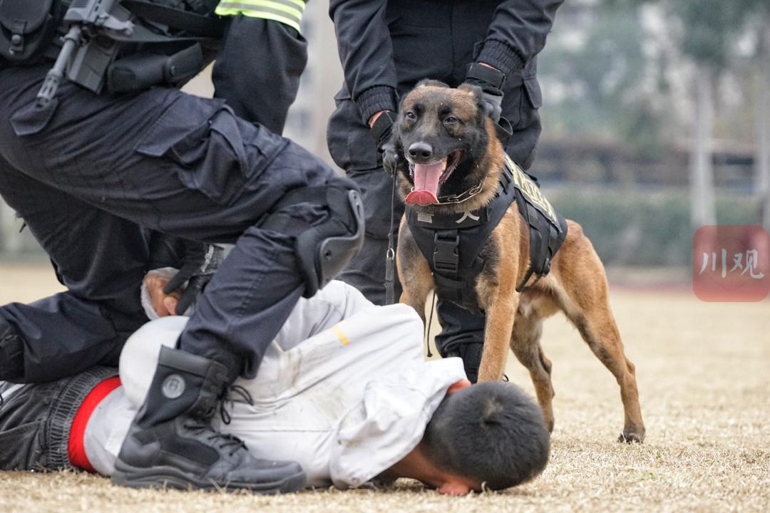 致敬人民警察︱致敬负重前行的他们