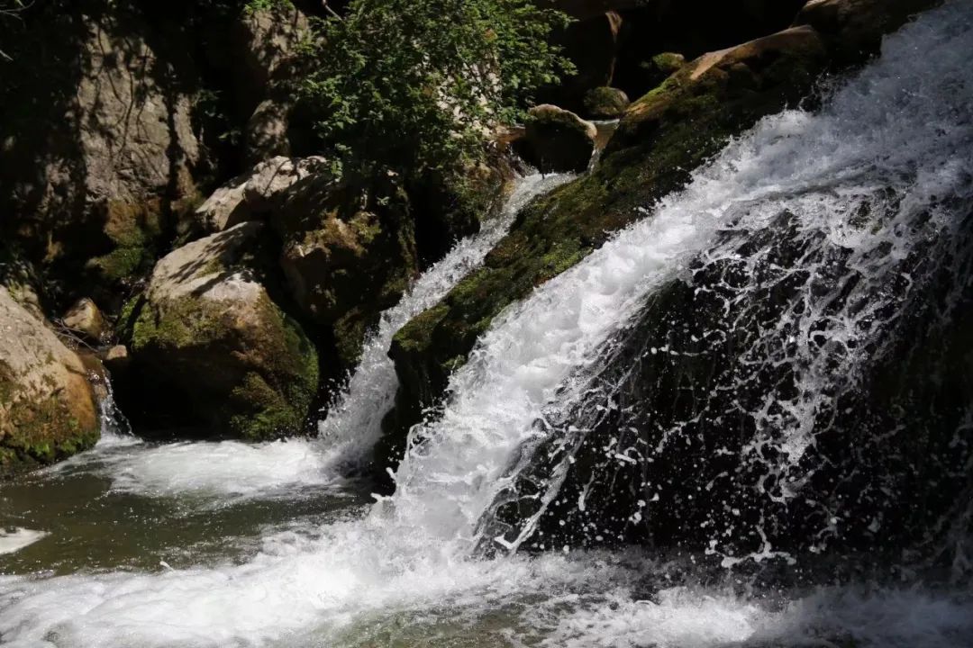 夷门山景区在遮阳山南东溪南侧,以深410米的大王洞为主体,洞内石钟乳