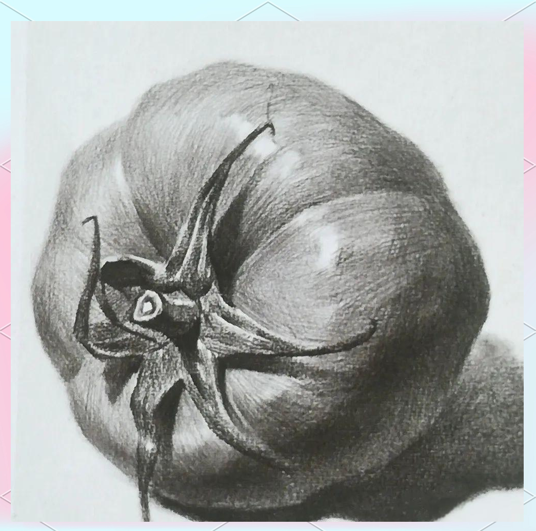 如何用素描表达西红柿的立体感与空间感