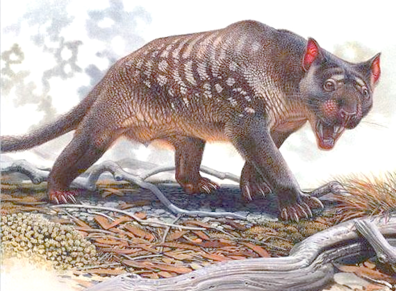 探索史前巨型生物:新西兰大鱼龙到欧巴宾海蝎