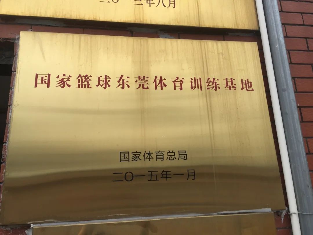 东莞篮球学校招生啦!