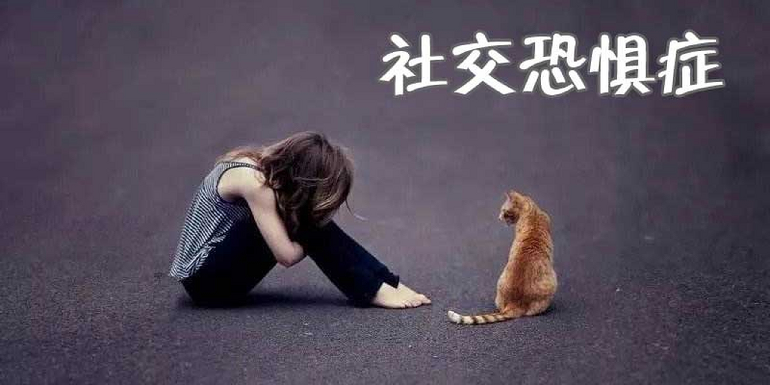 社恐到底在恐点什么?