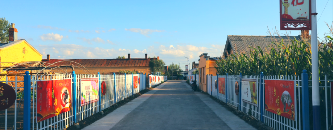 美翻了我的村第58期|黑龙江省通河县桦树村:仁孝桦树 和美幸福