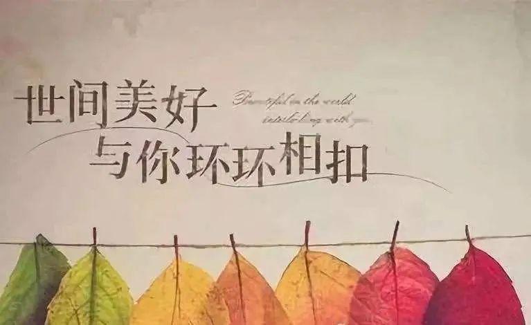 励志常青树|坚持这几点,想要的美好奔你而来