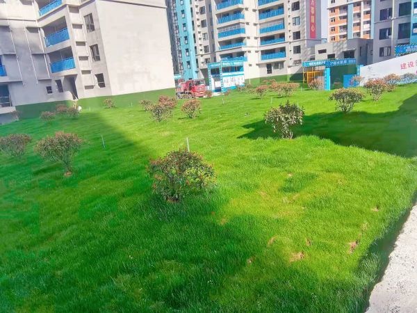 大冶碧桂园被评为大冶市"2021年度质量安全标准化示范工地"