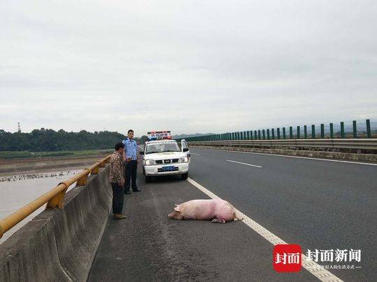 单桥车高速跳磅技巧是什么?