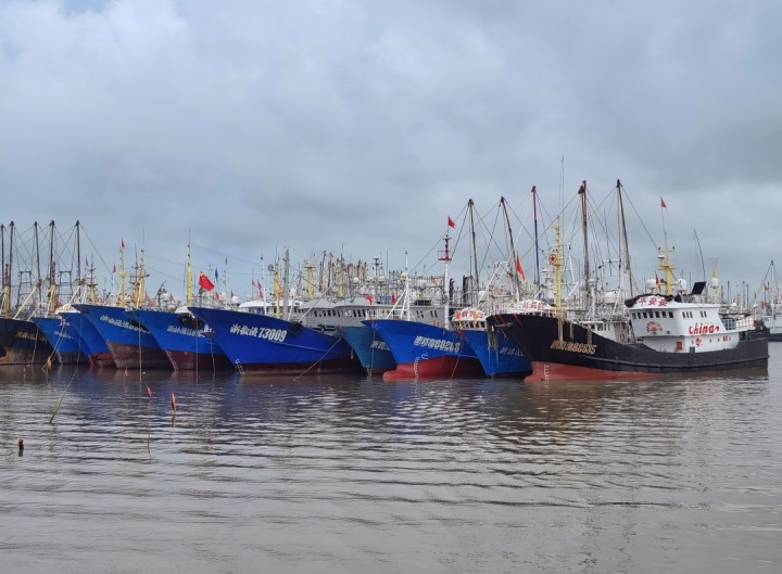 台州4117艘渔船,全部在港避风