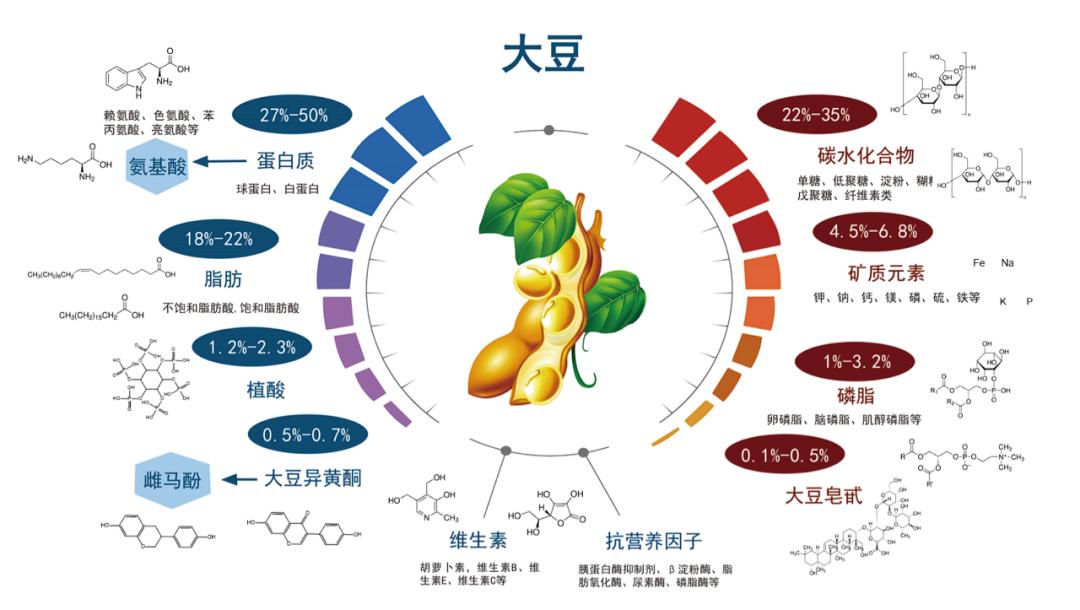 一颗大豆的"十八般武艺"